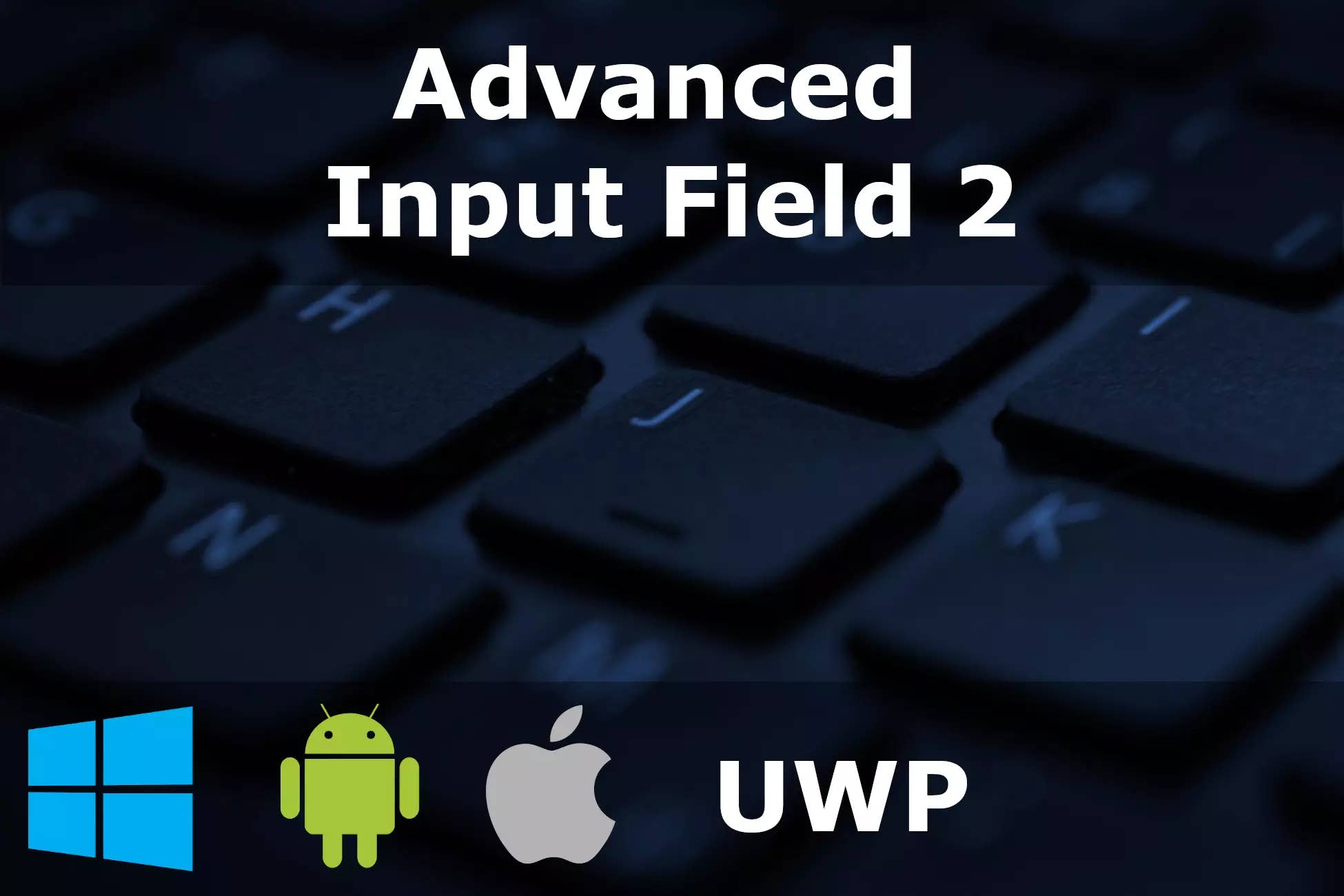 Advanced Input Field 2