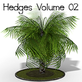 Icon of the asset:Hedges 02