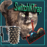 Icon of the asset:SwitchNTrap - Traps And Switches