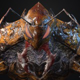 Bug_01