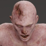 Icon of the asset:DismemberedZombie