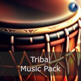Icon of the asset:Tribal Music Pack