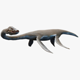Icon of the asset:Styxosaurus Model 27 Animations