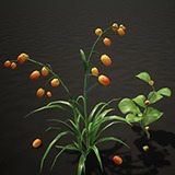 Icon of the asset:Bush And Berry
