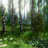 Icon of the asset:Birch Forest Environment
