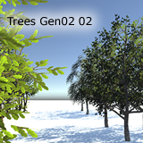 Icon of the asset:Trees Gen02 Volume 03