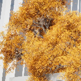 Icon of the asset:HDRP Tree Pack 2 (HighPoly)