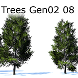 Icon of the asset:Trees Gen02 08