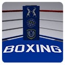 Icon of the asset:Boxing Ring