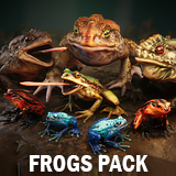 Icon of the asset:Frogs pack