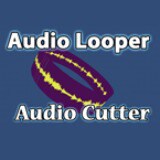Icon of the asset:Ambient Looper