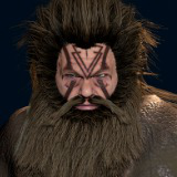 Icon of the asset:Viking Man 2