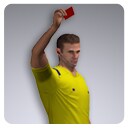 Icon of the asset:Soccer Referee 12370 Tris