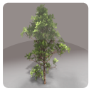 Icon of the asset:Realistic Tree Pack Vol.1