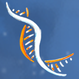 Icon of the asset:Genetic Switch