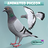 Icon of the asset:Realistic Animated Rock Pigeon Low-poly 3D model