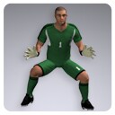 Icon of the asset:Goalkeeper Player 8638 Tris