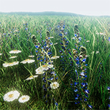 Icon of the asset:PBR Grass Flowers Pack