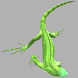 Icon of the asset:Iguana