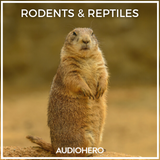 Icon of the asset:Rodents & Reptiles SFX Collection