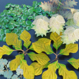 Icon of the asset:Splash of Color - Unique Photogrammetry Plants