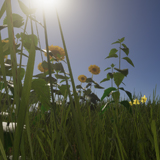 Icon of the asset:Butterflies and Foliage