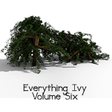 Icon of the asset:Everything Ivy - Volume Six