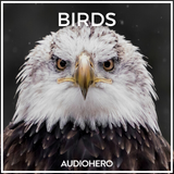 Icon of the asset:Birds SFX Collection