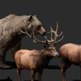 Icon of the asset:Realistic Animals PACK