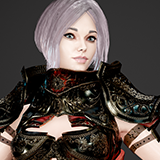 Icon of the asset:Paladin Woman