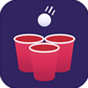 Icon of the asset:Beer Pong