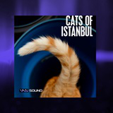 Icon of the asset:Cats Of Istanbul Vol.1 SFX Pack