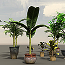 Icon of the asset:House Plants