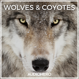 Icon of the asset:Wolves & Coyotes SFX Collection