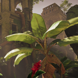 Icon of the asset:Jungle - Tropical Vegetation