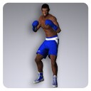 Icon of the asset:Boxer 7631 Tris