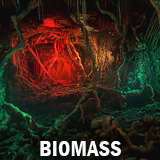 Icon of the asset:Biomass