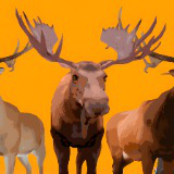Icon of the asset:Stylized Animals BIG PACK