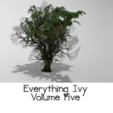 Icon of the asset:Everything Ivy - Volume Five