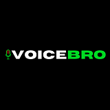 Icon of the asset:Voicebro - Voice Client & Server System