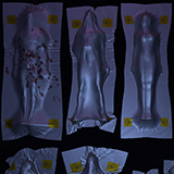 Icon of the asset:Dead Bodies