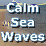 Icon of the asset:Calm Sea Waves