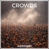 Icon of the asset:Crowds SFX Collection