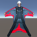 Icon of the asset:Wingsuit Flying