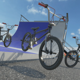Icon of the asset:BMX Bike & Vert Skate Ramp
