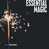 Icon of the asset:Essential Magic