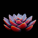 Icon of the asset:Soft Dreams - Ambient Music Pack