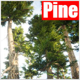 Icon of the asset:URP Pine Tree Bundle
