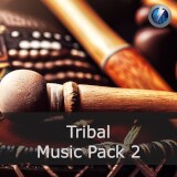 Icon of the asset:Tribal Music Pack 2