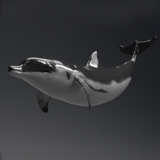 Icon of the asset:Dolphin Model 13 Animations